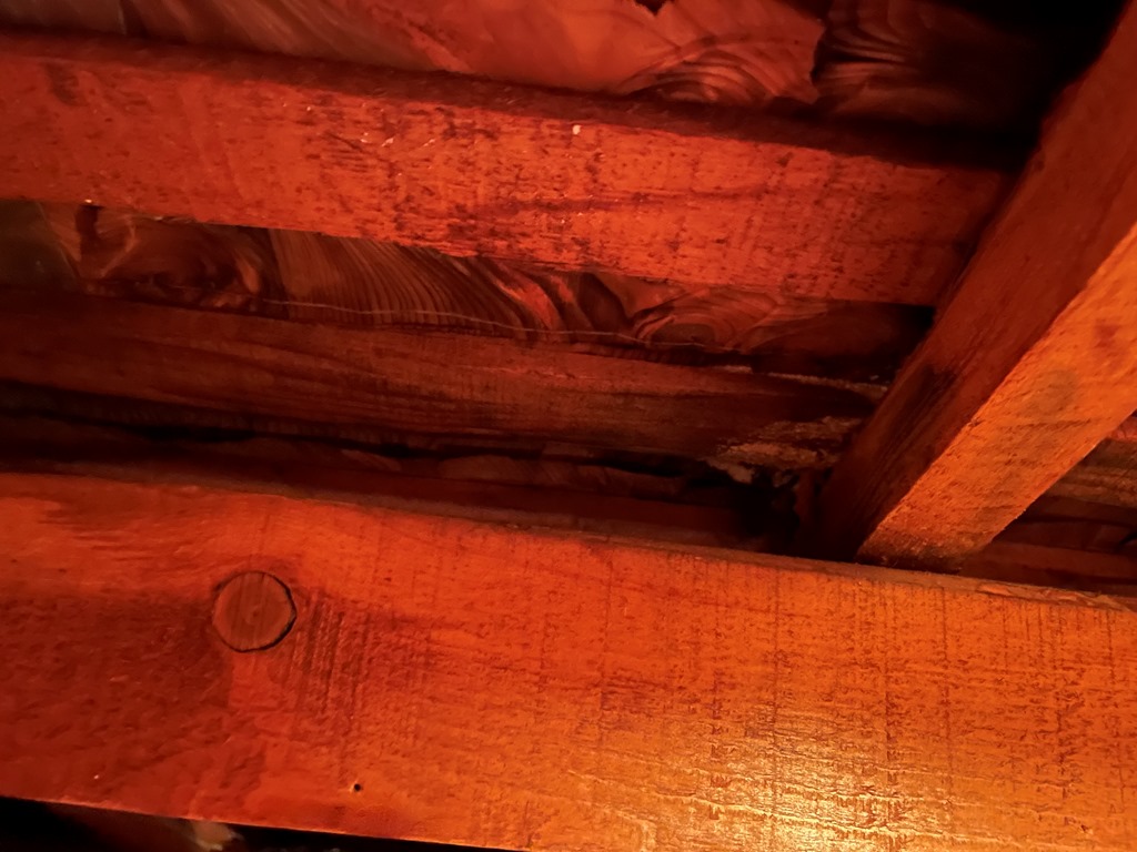 築50年の瓦屋根より雨漏れ発生