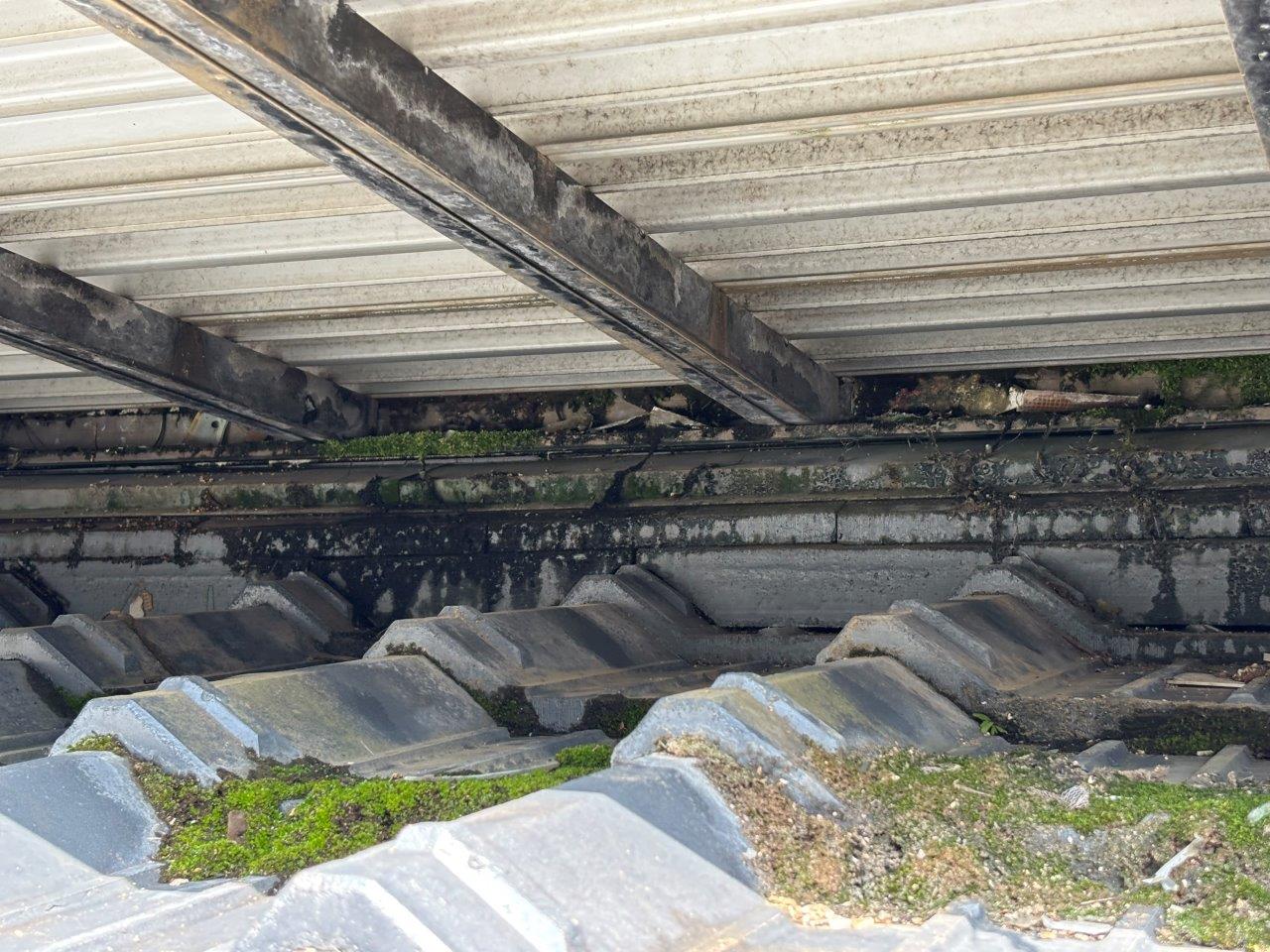 天井と窓上の雨漏れ　現地調査