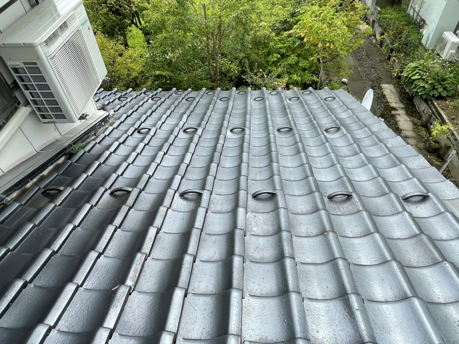 土居串より雨漏れ