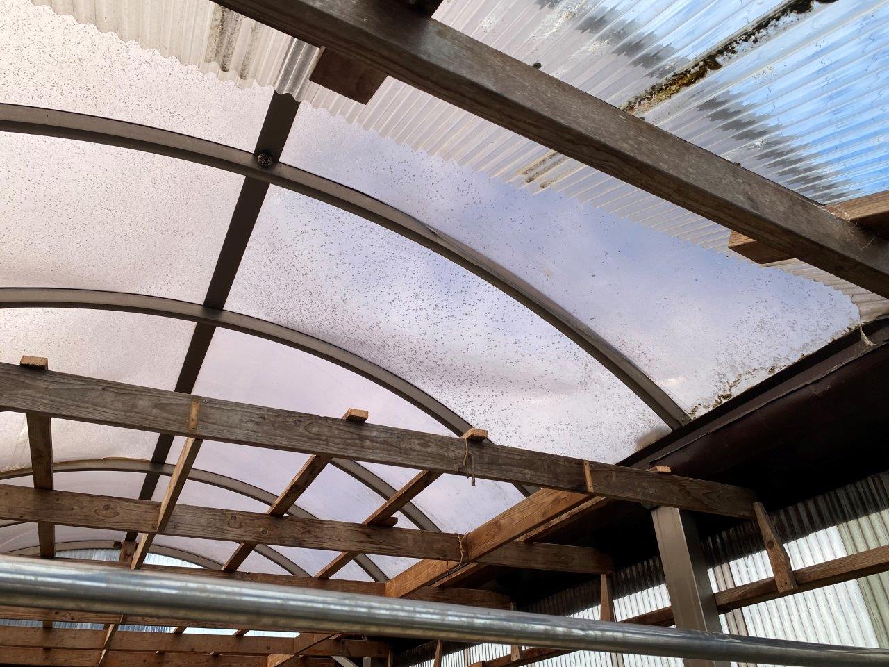 ポリカ屋根張替