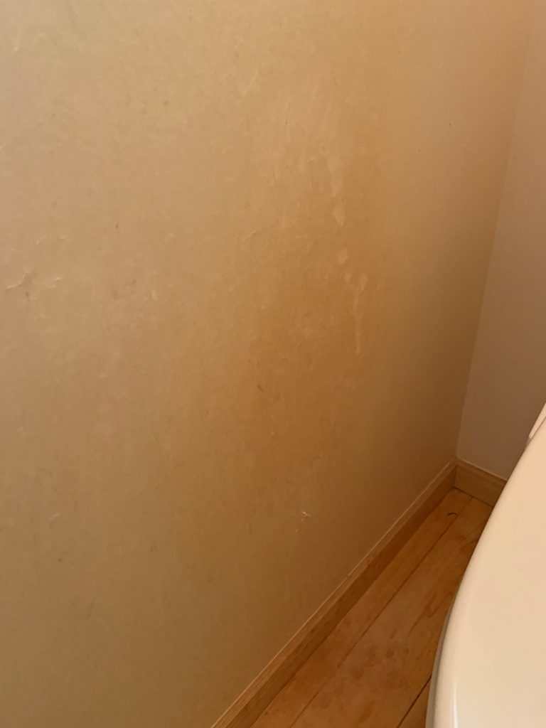 トイレ壁紙張り替え　現地調査