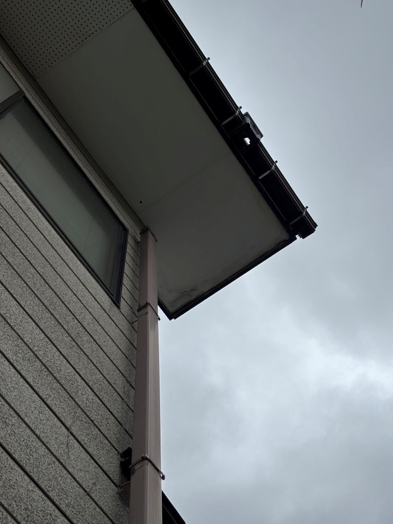 呼び樋の落下　現地調査