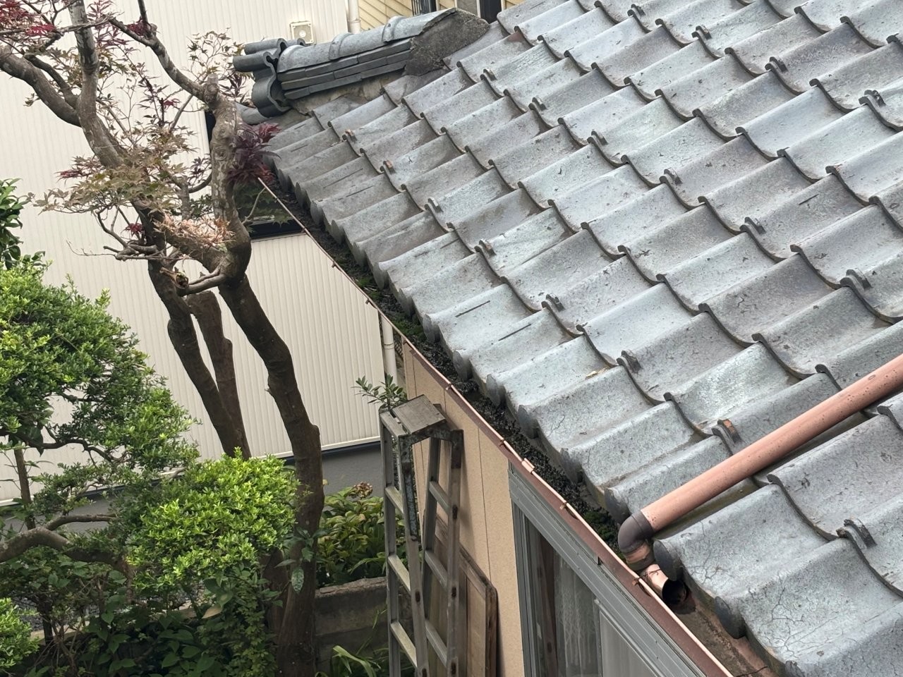 軒樋の詰まり　現地調査