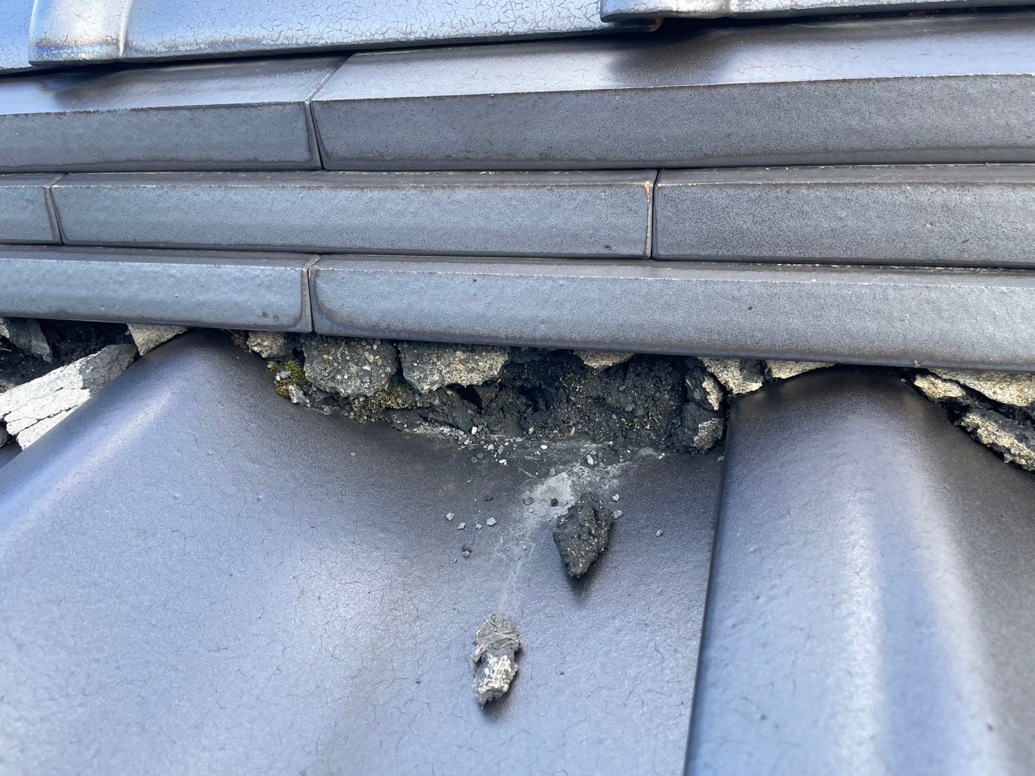 瓦屋根棟部欠損　現地調査