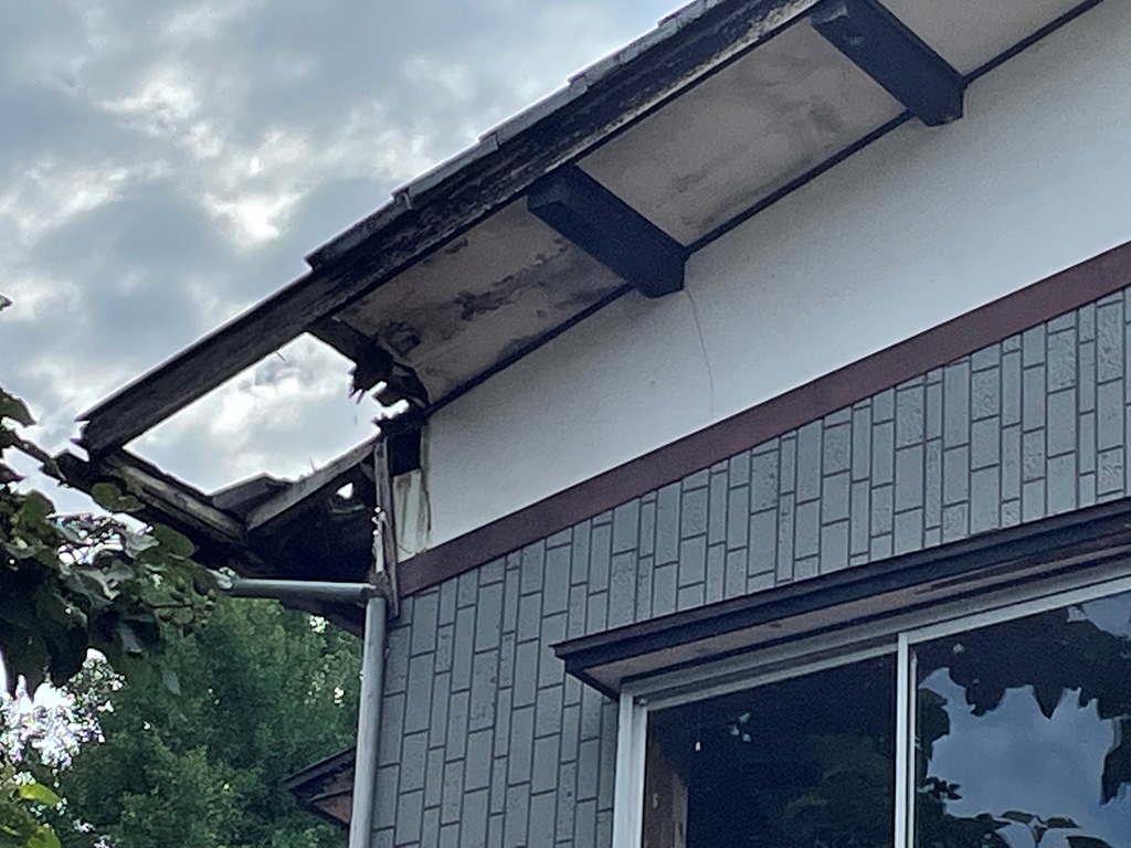 瓦屋根雨漏れ現地調査