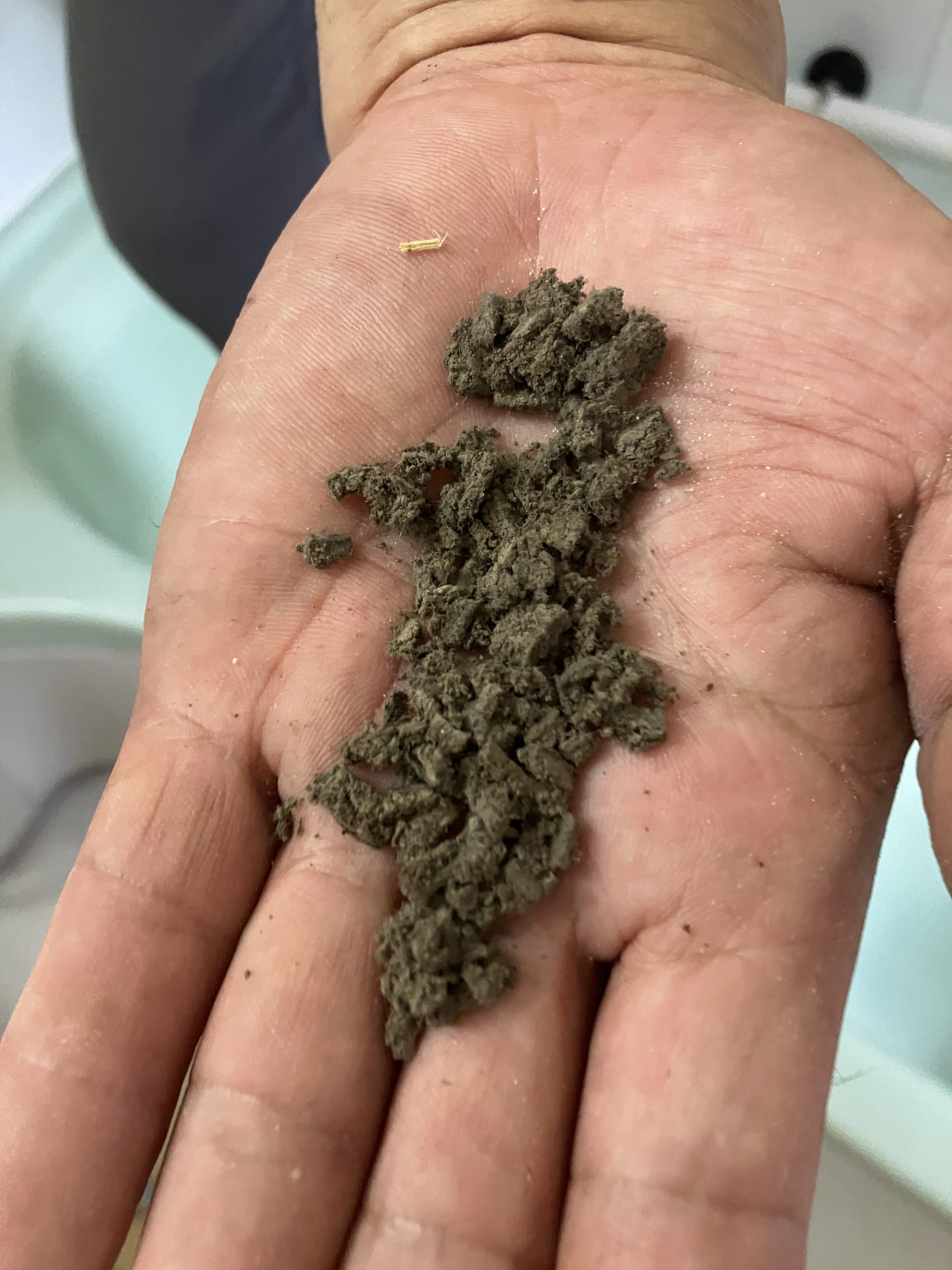 換気扇内部に溜まっていたホコリの状態