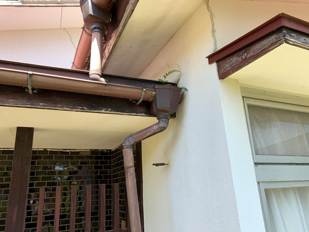 竪樋飛散　現地調査