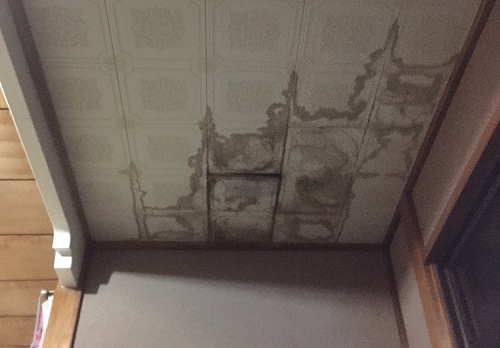 天井　染み　張り替え