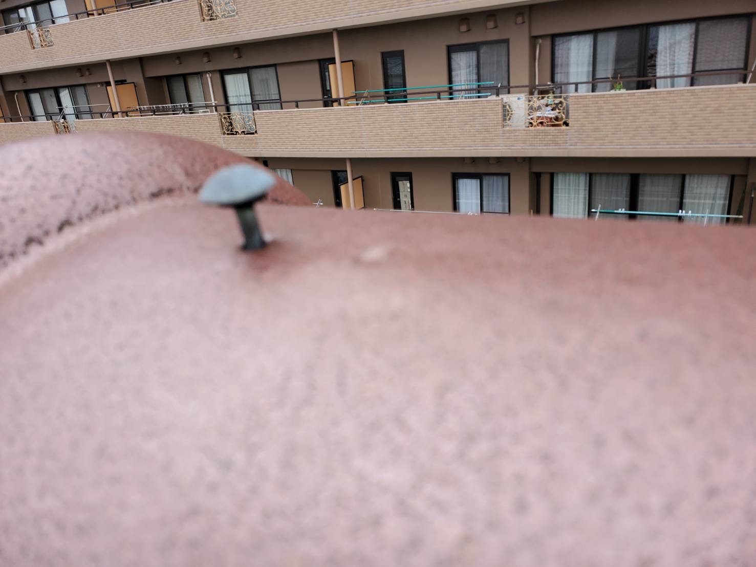 棟瓦の釘浮き　現地調査