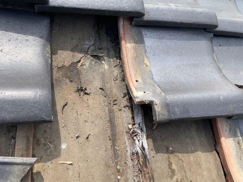 雨漏れ修繕　現地調査