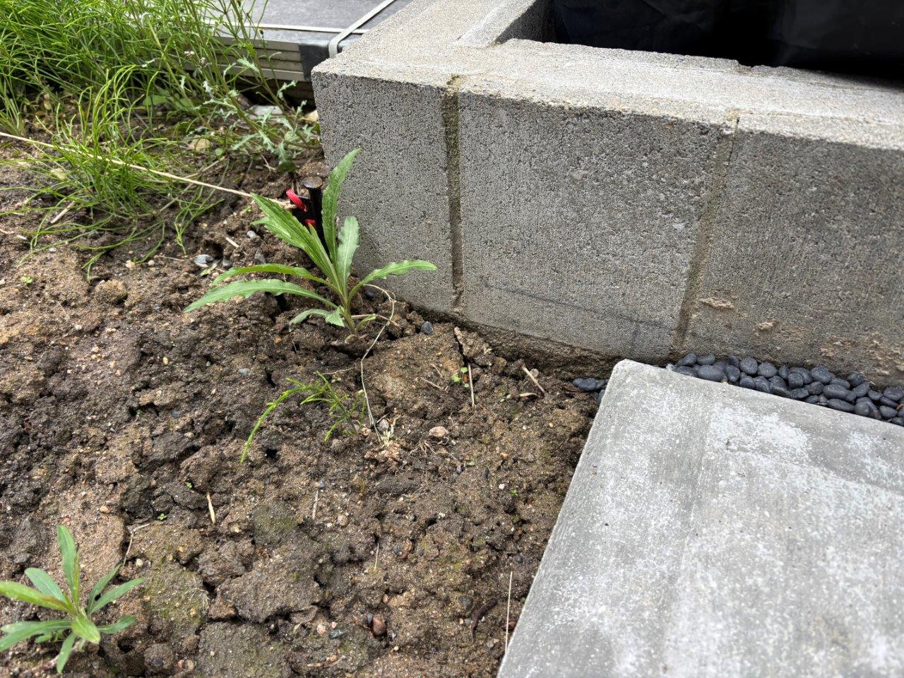 境界ブロック塀設置　現地調査