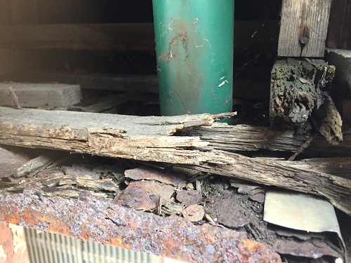 木下地　腐食　朽ちる　骨組み