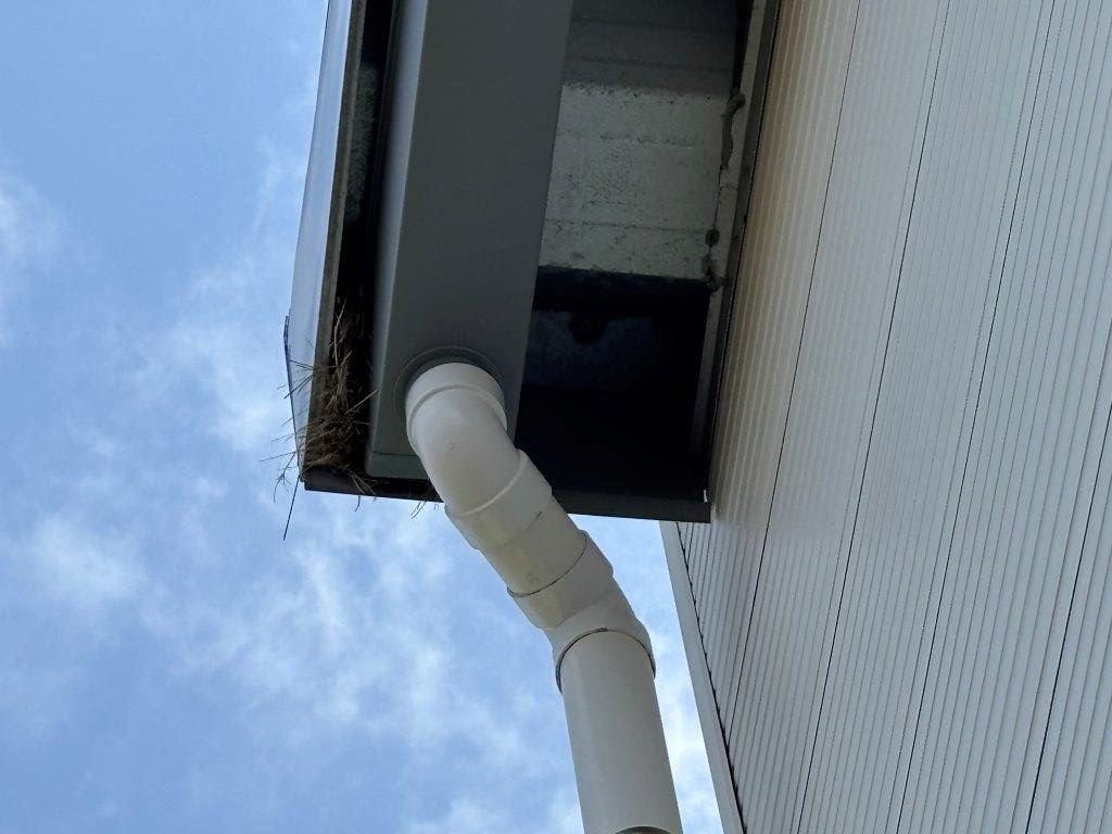 鳥の巣対策　現地調査