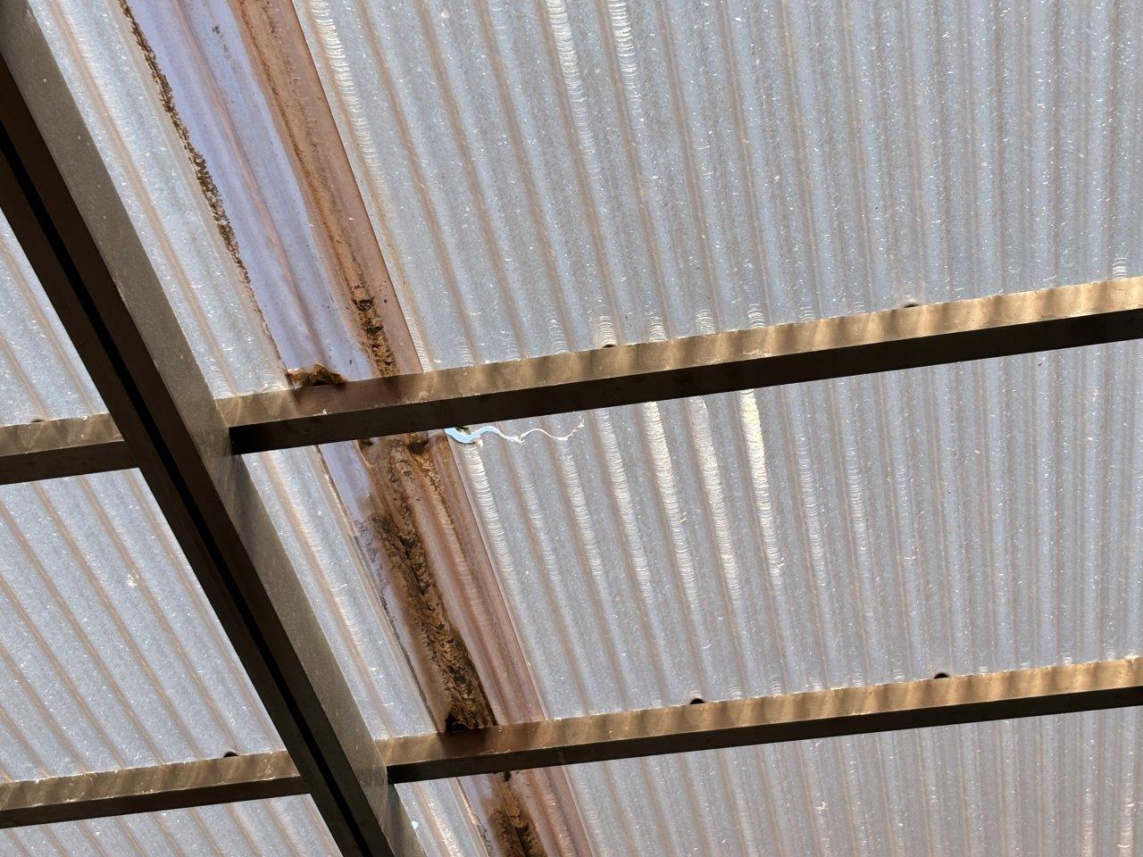 波板ポリカ割れ　現地調査