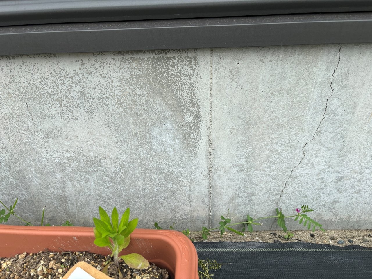 基礎クラック　現地調査