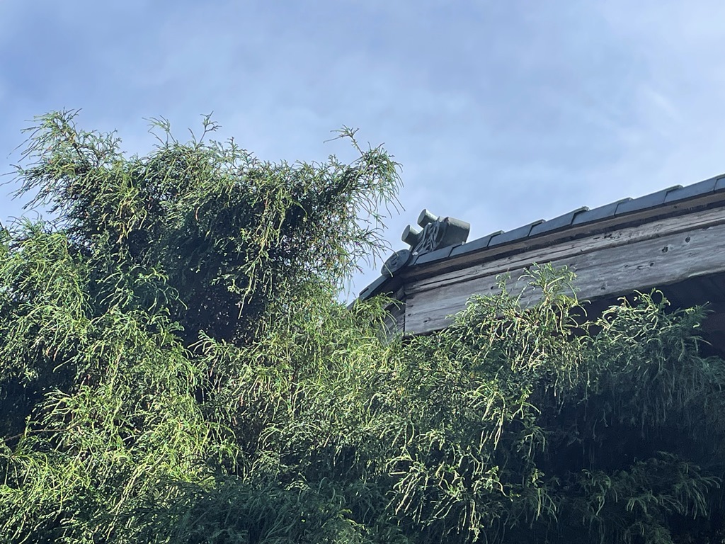 大屋根鬼瓦のズレ