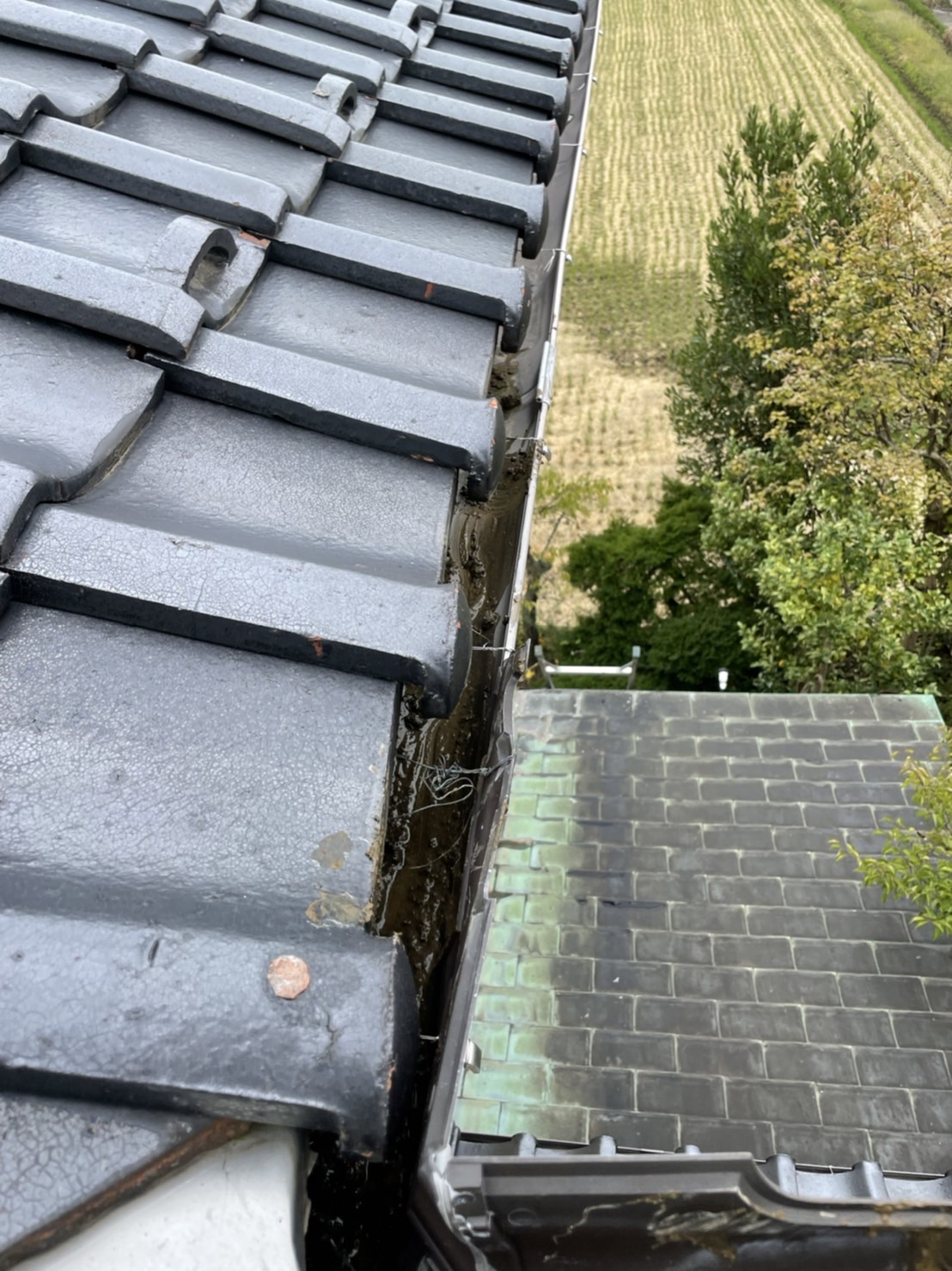 大屋根軒樋内清掃