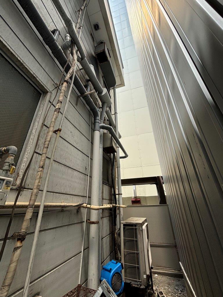 換気扇内鳥侵入で対策　現地調査