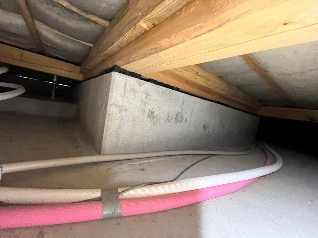 シロアリ発生　現地調査