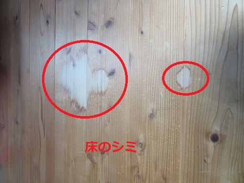 雨漏れ　床の染み