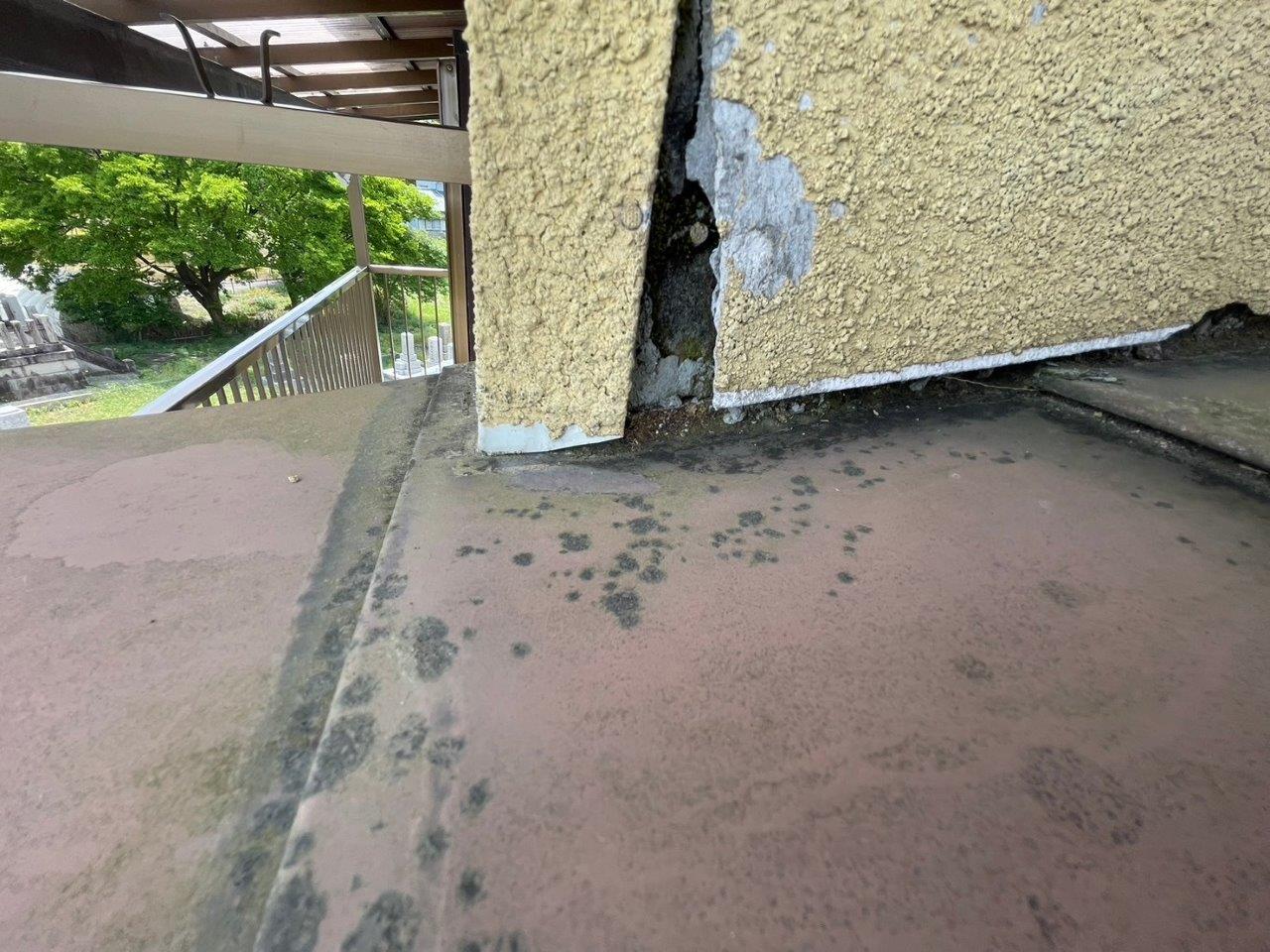 外壁の剥がれ　雨漏れ　現地調査