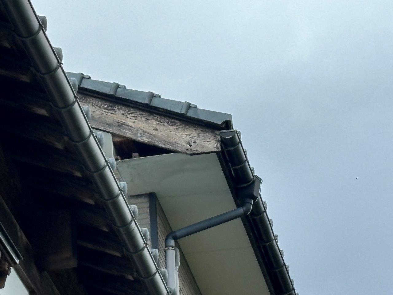 破風修繕　現地調査