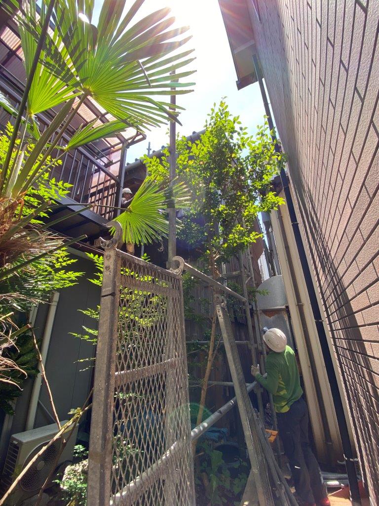 軒樋交換工事のため仮設足場設置