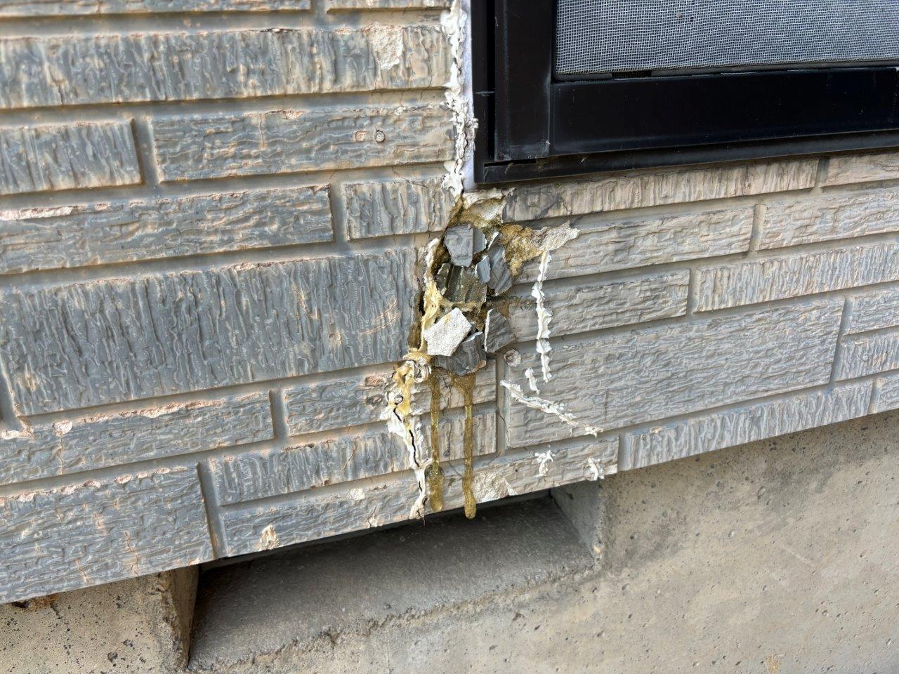 外壁の塗装か張り替え検討　現地調査