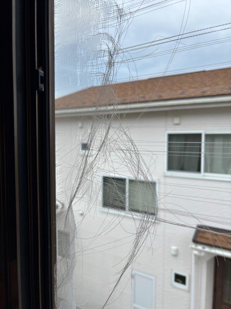 網戸張替　現地調査