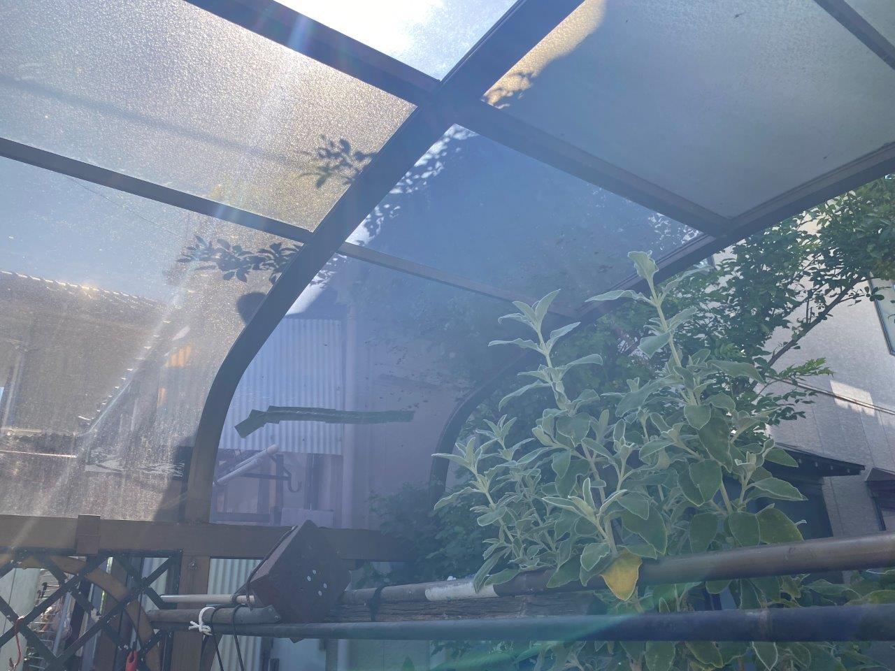 カーポートポリカ屋根破損　現地調査