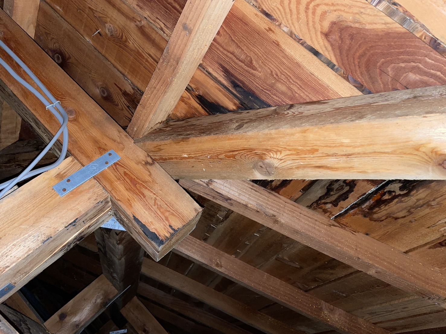 天井裏の雨染み