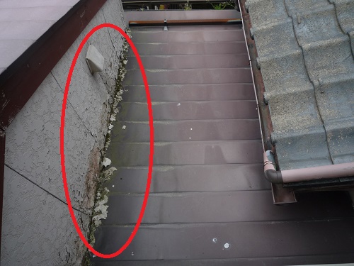 現場調査　窯業系サイディング　剥離