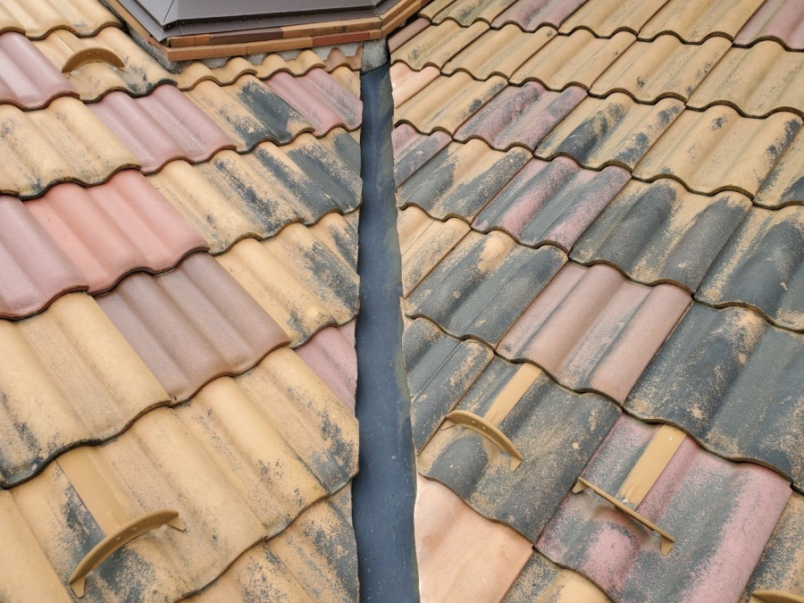 瓦コケ除去洗浄