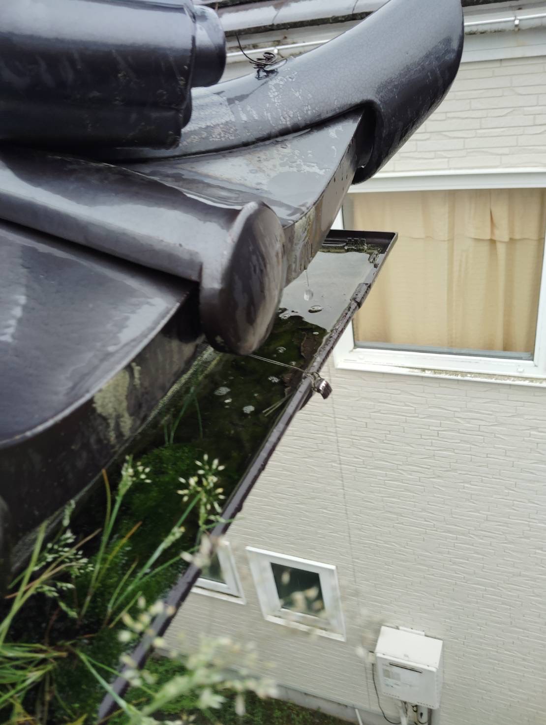 軒樋清掃前