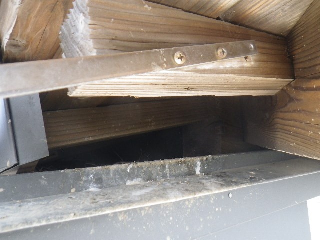 鳥侵入口・対策