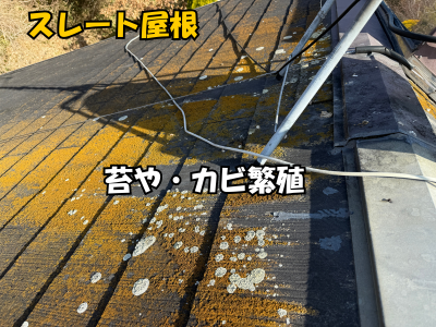 橿原市スレート屋根苔やカビが発生