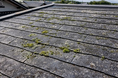 橿原市住宅の屋根にコケや汚れが発生している劣化した屋根