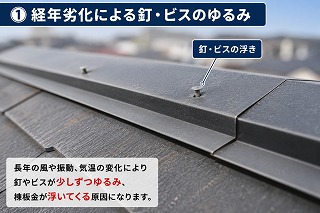 生駒市 棟板金の釘浮きによる劣化状況