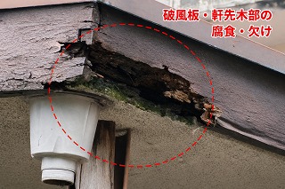 大和郡山市 腐食した破風板の現地調査