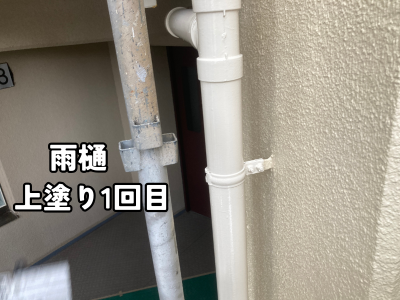 奈良市マンション雨樋の1回目塗装完了