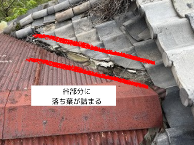 生駒市谷部分に落ち葉が詰まる