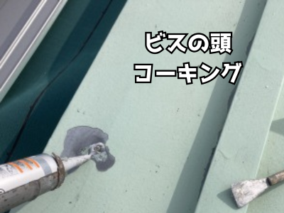 瓦棒を固定しているビスをコーキングで処理