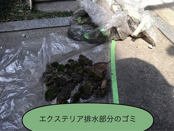 エクステリア排水部のゴミ