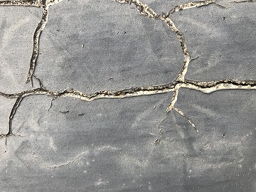 瓦の亀裂