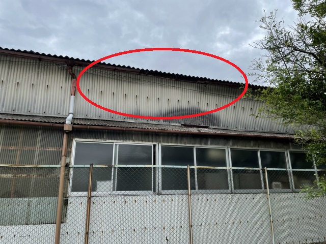 雨漏り箇所