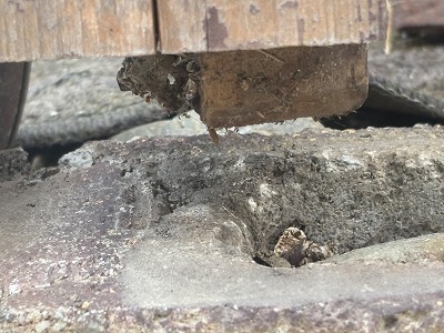 木柱の浮きの現状