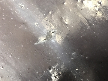 塗装された銅板