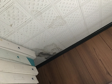 雨漏り部分