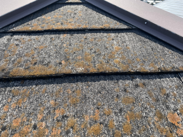劣化した屋根②