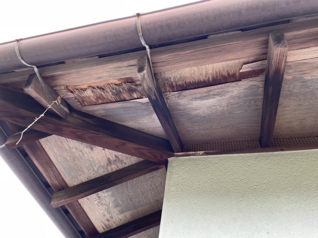 現場調査　軒天井
